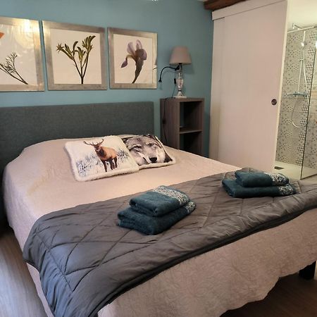 Appartements - 1 Mn Du Centre Рибовиль Номер фото